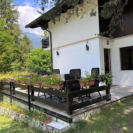 Garden Relax Apartment *